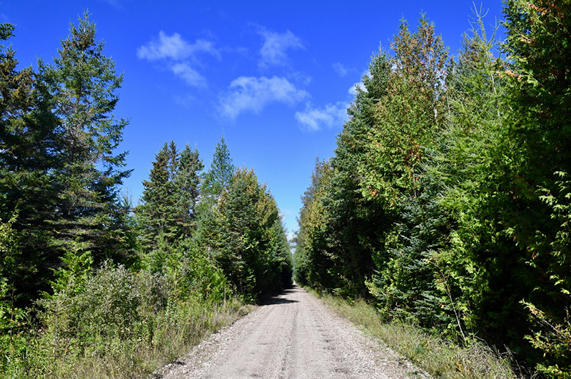 St Ignace to Trout Lake Trail